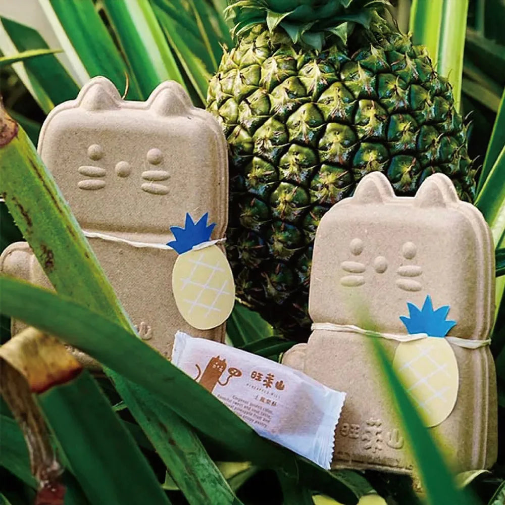 Cat Shaped Kraft Pulp Biodegradable Soap Packaging - Otarapack