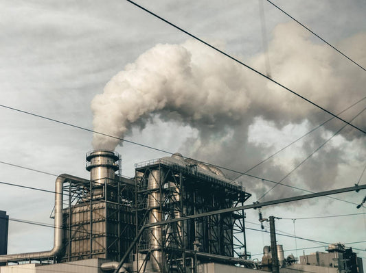 Cepi Says Pulp and Paper Manufacturers are Innovating Their Way Out of CO2 Emissions