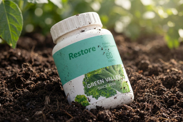 The End of the Plastic Pill Bottle: Why Molded Pulp Canisters Are the New Standard