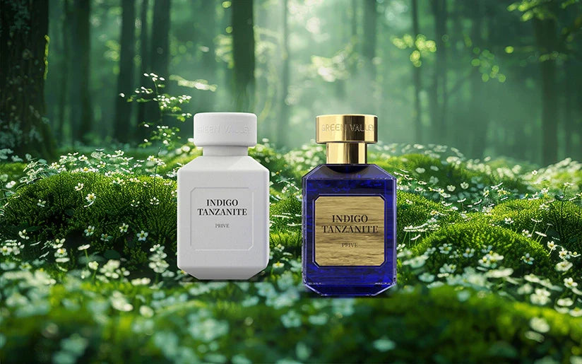 Bottle Shaped Molded Pulp Packaging Redefines Perfume Protection
