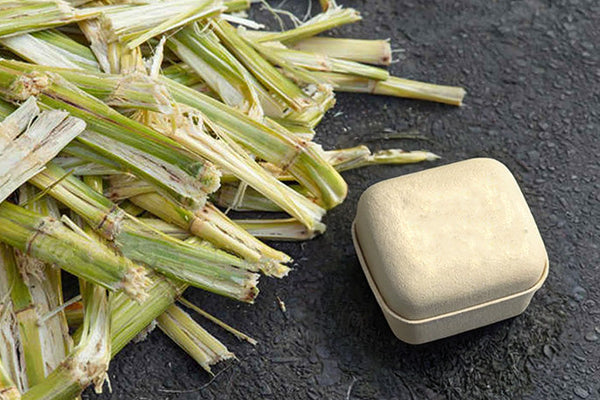 What Are The Eco-Friendly Options For Bottle Packaging? Know More About Sugarcane Molded Pulp Packaging