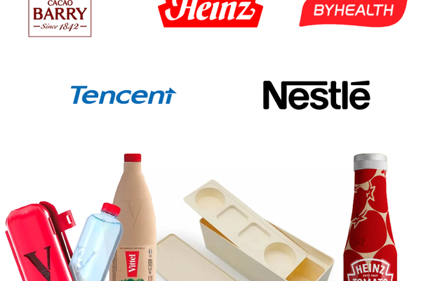 Food Industry's Sustainable Shift: How Molded Pulp Packaging is Redefining Eco-Friendly Practices