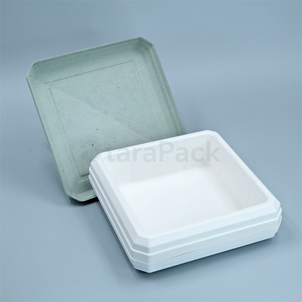 Bicolor Innovate Biodegradable Paper Pulp Box - Otarapack