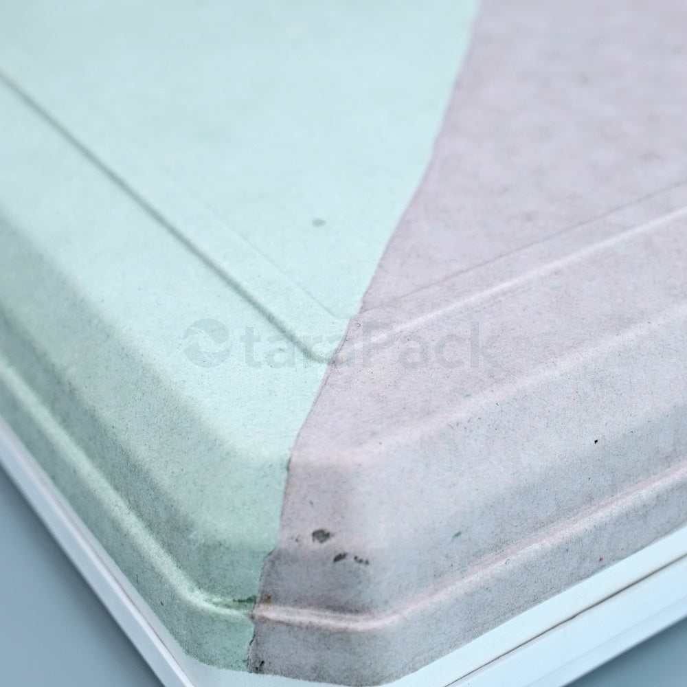 Bicolor Innovate Biodegradable Paper Pulp Box - Otarapack