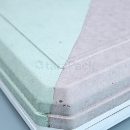 Bicolor Innovate Biodegradable Paper Pulp Box - Otarapack
