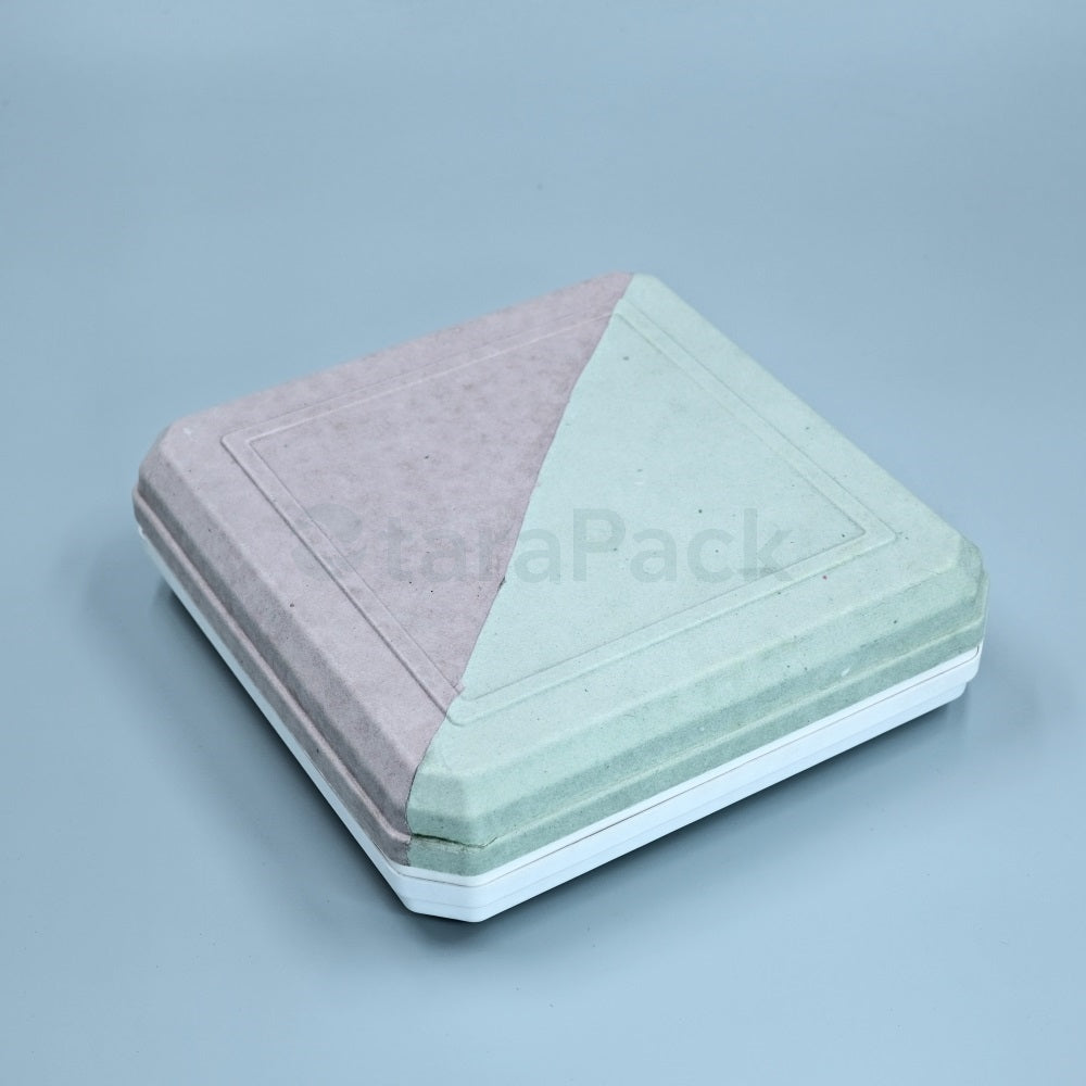 Bicolor Innovate Biodegradable Paper Pulp Box - Otarapack