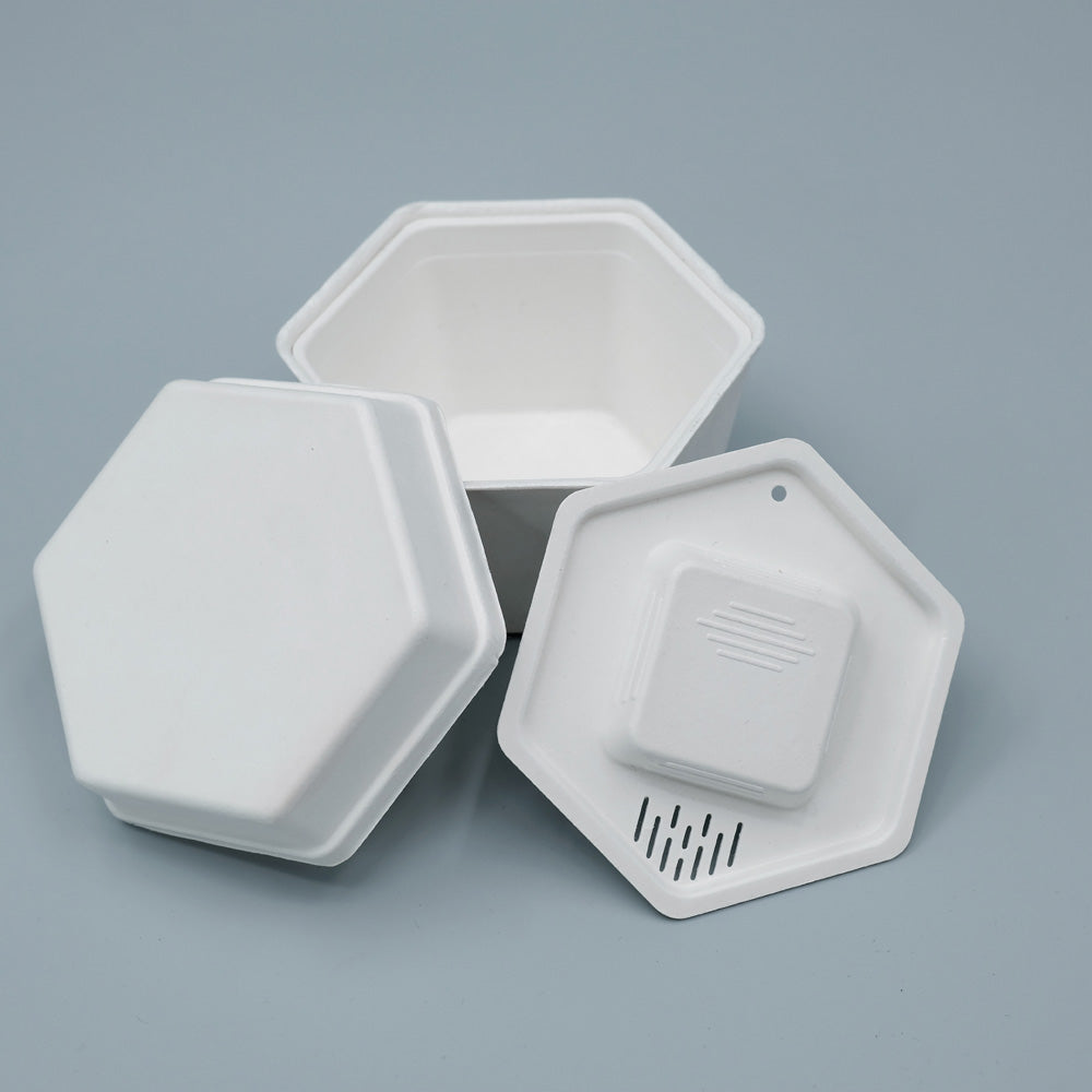 Biodegradable Sugarcane Molded Hexagonal Portable Tea Gift Set Packaging - Otarapack
