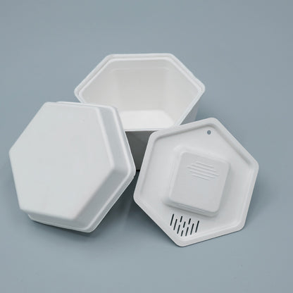 Biodegradable Sugarcane Molded Hexagonal Portable Tea Gift Set Packaging - Otarapack