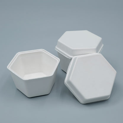 Biodegradable Sugarcane Molded Hexagonal Portable Tea Gift Set Packaging - Otarapack