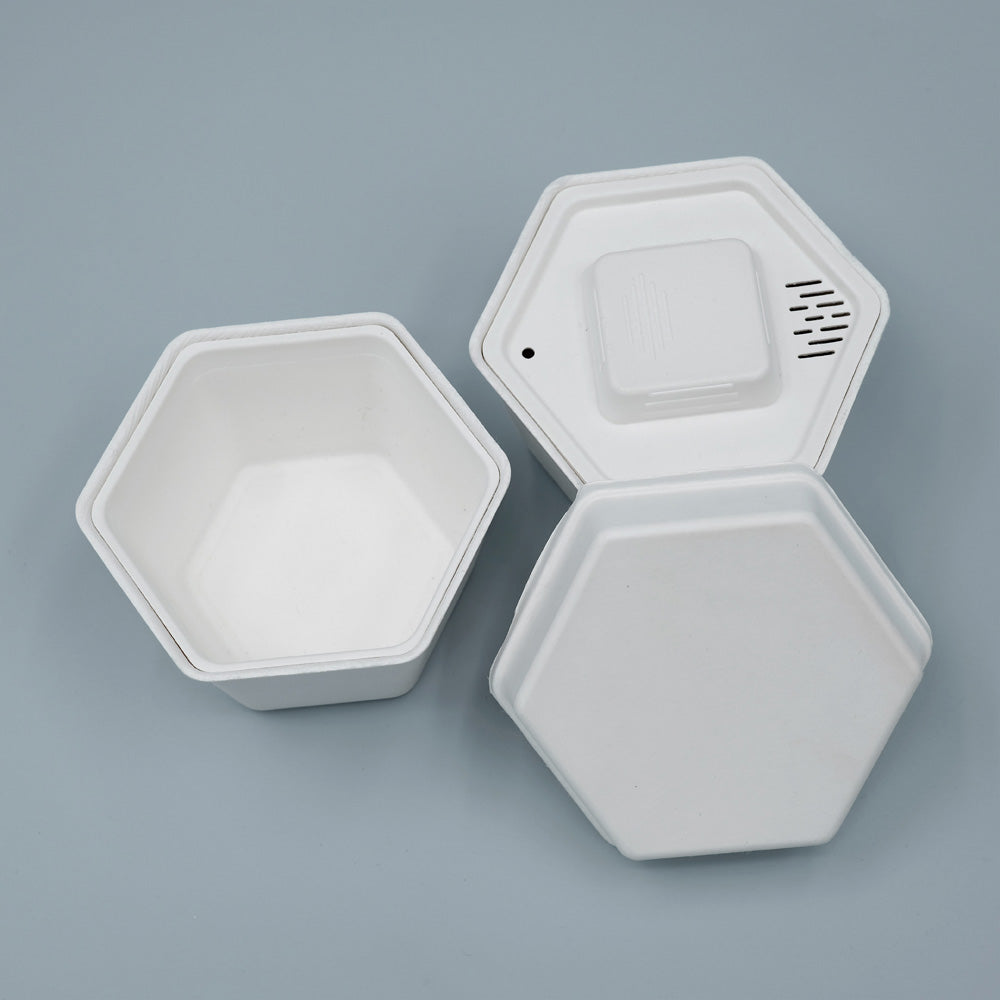 Biodegradable Sugarcane Molded Hexagonal Portable Tea Gift Set Packaging - Otarapack