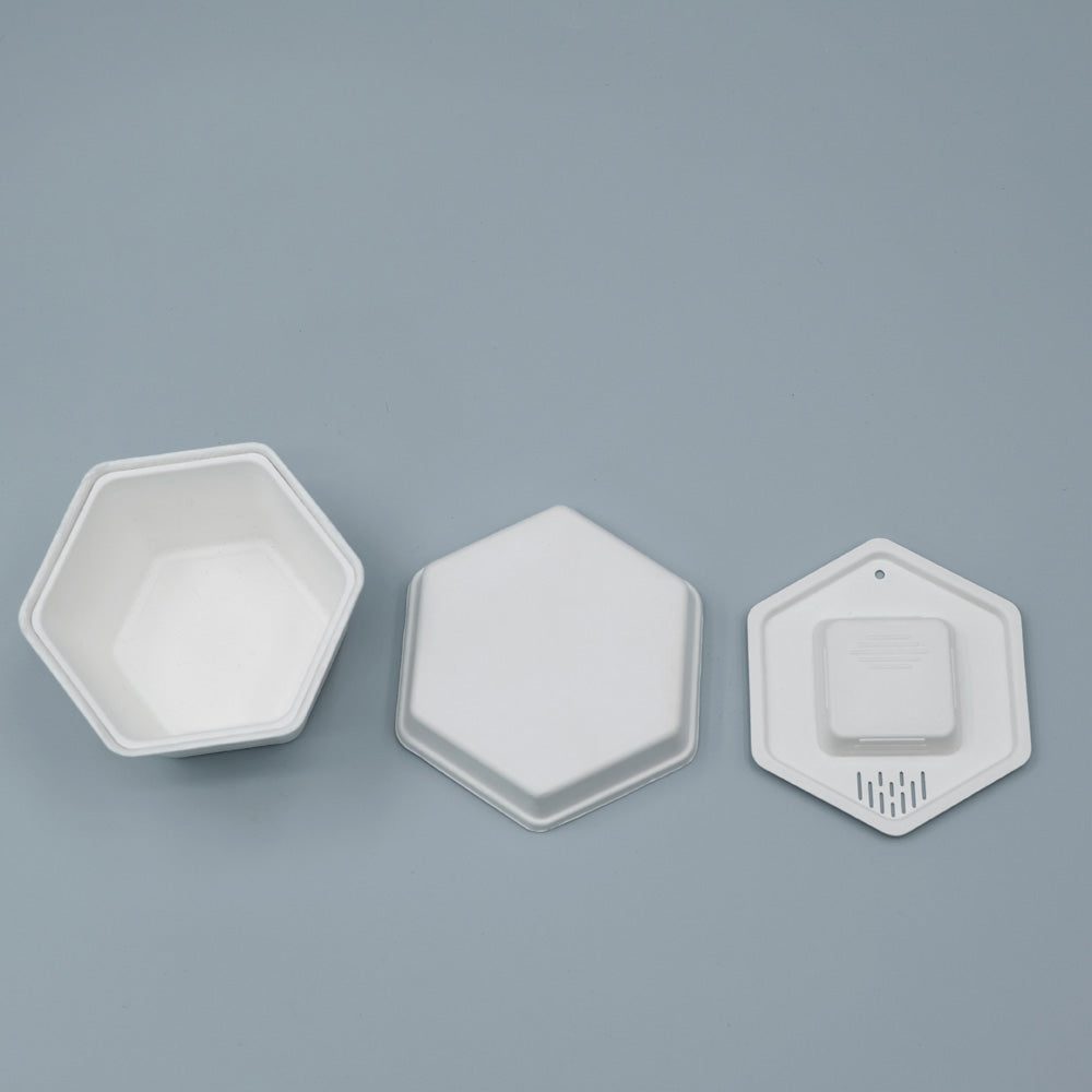 Biodegradable Sugarcane Molded Hexagonal Portable Tea Gift Set Packaging - Otarapack