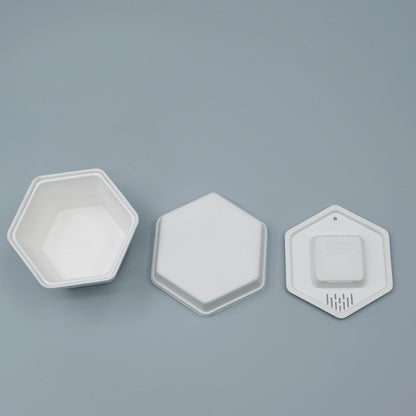 Biodegradable Sugarcane Molded Hexagonal Portable Tea Gift Set Packaging - Otarapack