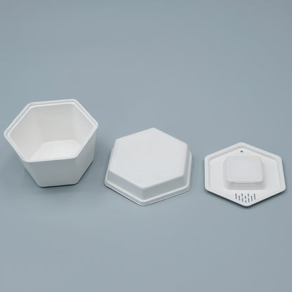 Biodegradable Sugarcane Molded Hexagonal Portable Tea Gift Set Packaging - Otarapack