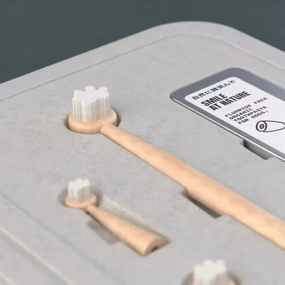 Grey Pulp Clamshell Biodegradable Toothbrush Packaging - Otarapack