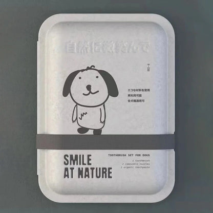 Grey Pulp Clamshell Biodegradable Toothbrush Packaging - Otarapack