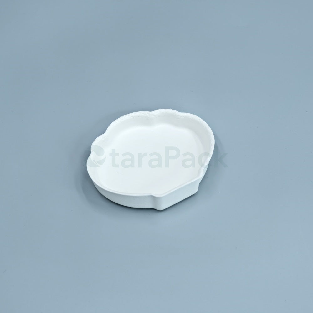 Sea Shell Shape Molded fiber Natural Bagasse Packaging - Otarapack