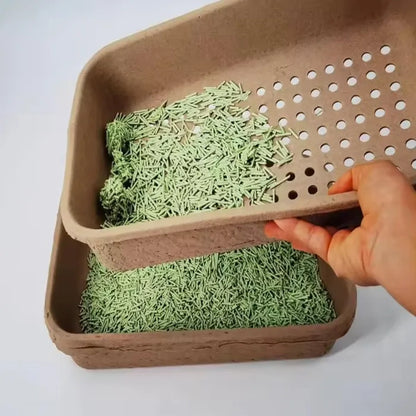 Eco Friendly Pulp Degradable Jumbo Cat Litter Box - Otarapack