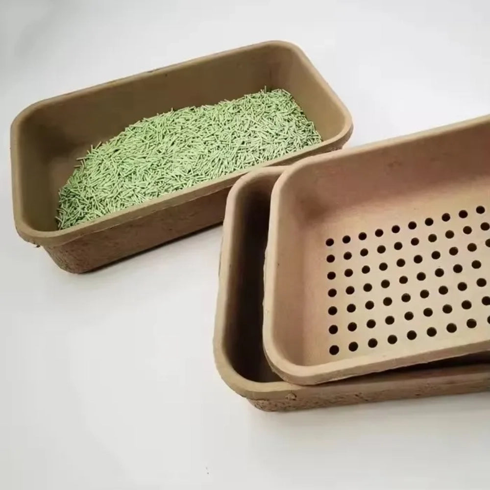 Eco Friendly Pulp Degradable Jumbo Cat Litter Box - Otarapack
