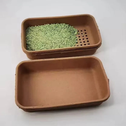 Eco Friendly Pulp Degradable Jumbo Cat Litter Box - Otarapack