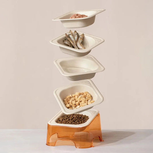 Square Sustainable Pet Food Cat Dog Bowl - Otarapack