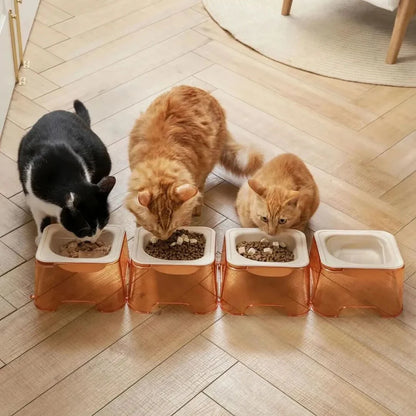 Square Sustainable Pet Food Cat Dog Bowl - Otarapack