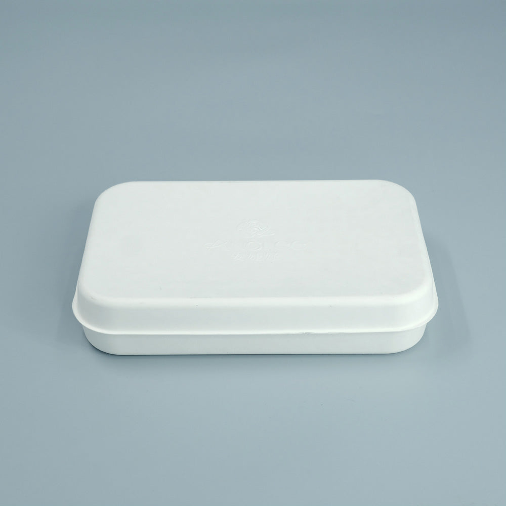 Compostable Sugarcane Pulp Packaging Box - Otarapack
