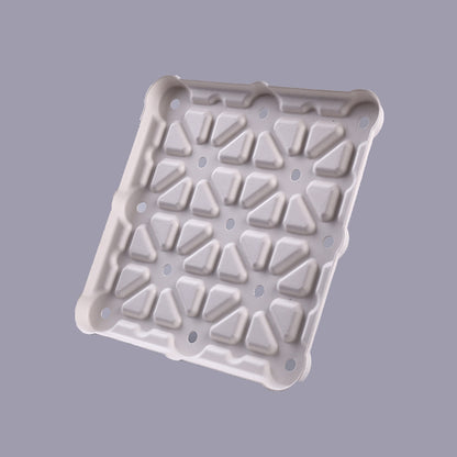 Squre Biodegradable Food Insert Packaging - Otarapack