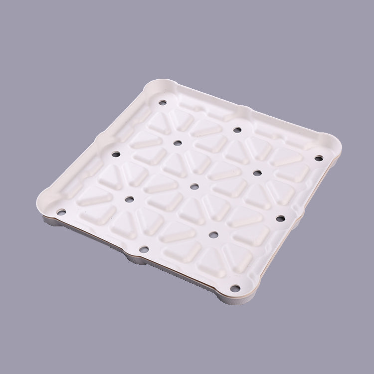 Squre Biodegradable Food Insert Packaging - Otarapack