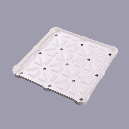 Squre Biodegradable Food Insert Packaging - Otarapack