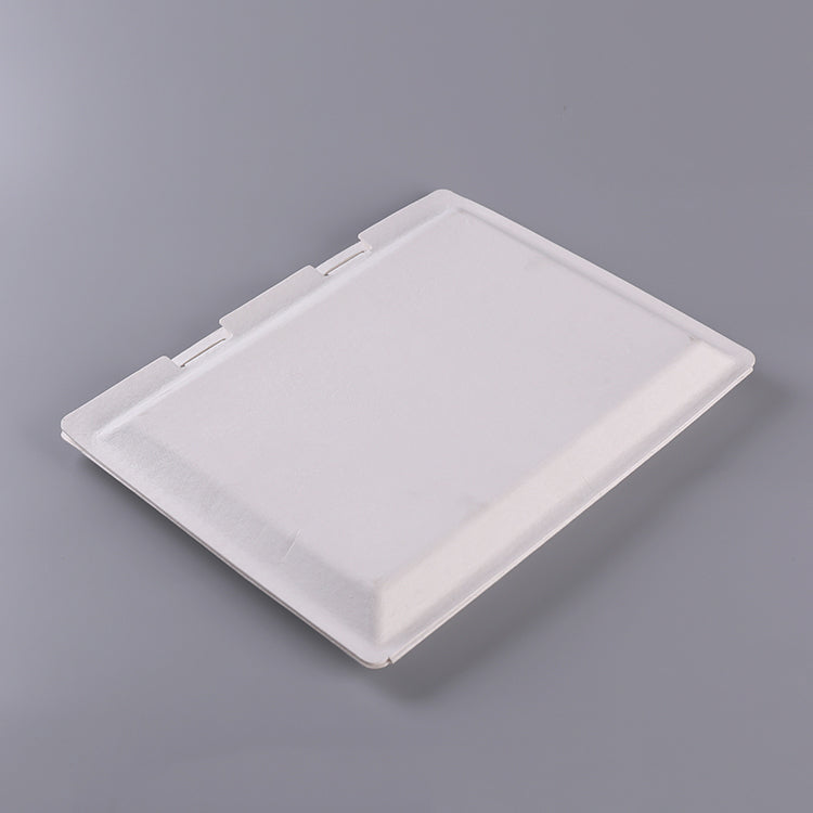 Sugarcane Pulp Common Eco Friendly Paper Box - Otarapack