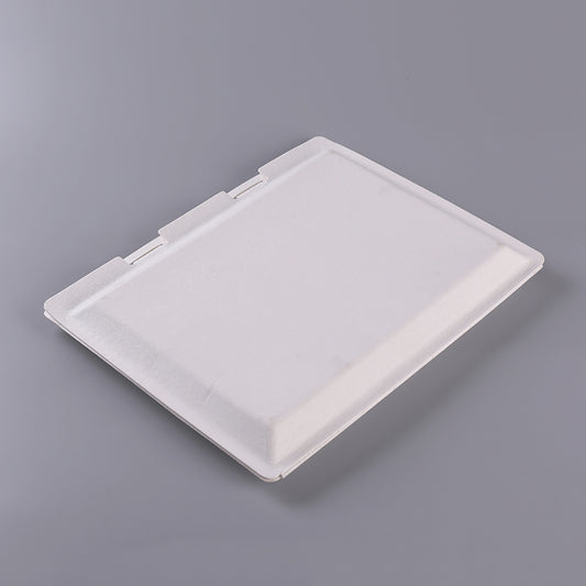 Sugarcane Pulp Common Eco Friendly Paper Box - Otarapack
