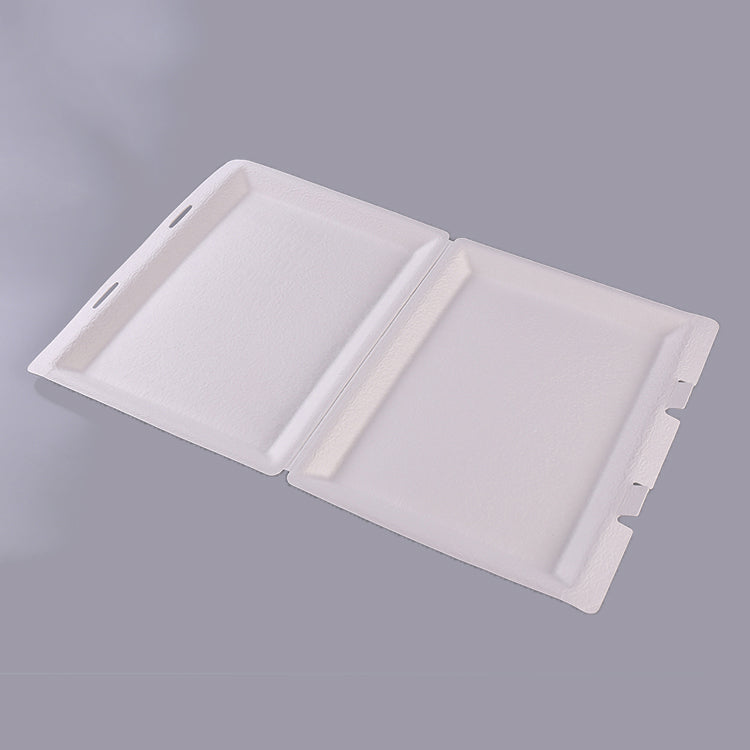 Sugarcane Pulp Common Eco Friendly Paper Box - Otarapack