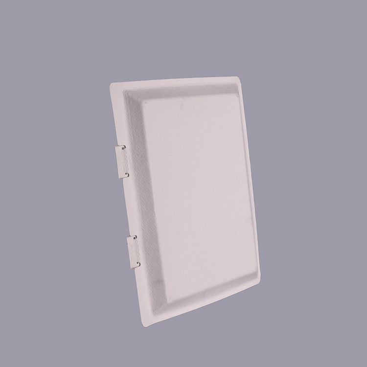 Sugarcane Pulp Common Eco Friendly Paper Box - Otarapack
