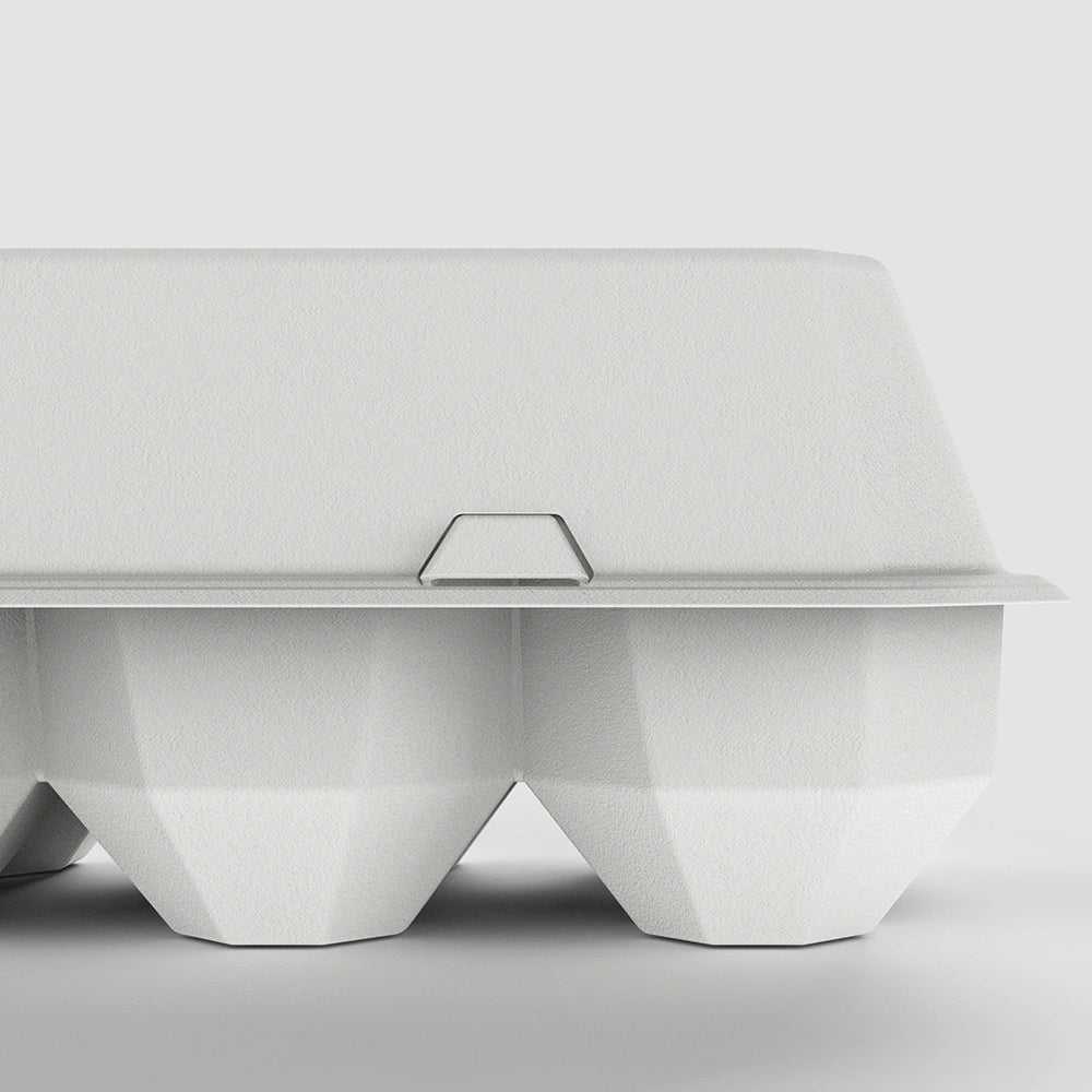 Molded Pulp Clamshell Egg Box - Otarapack