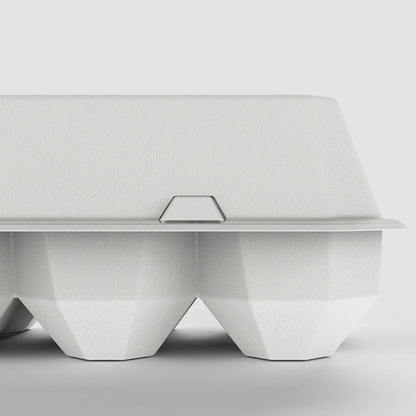 Molded Pulp Clamshell Egg Box - Otarapack