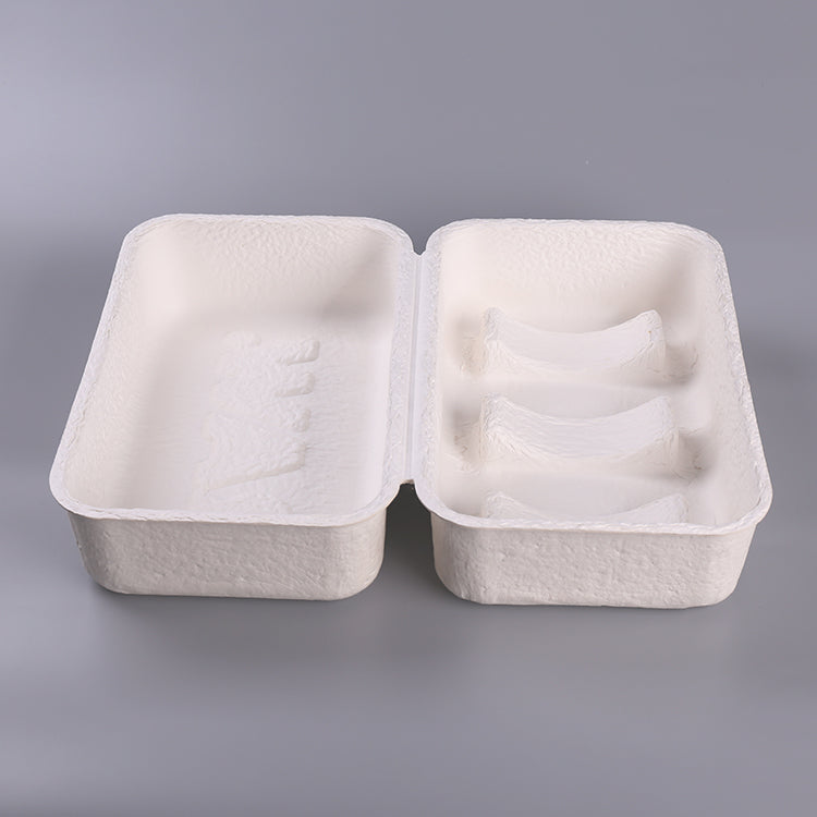 Beauty Camera Equipment Biodegradable Pulp Box - Otarapack