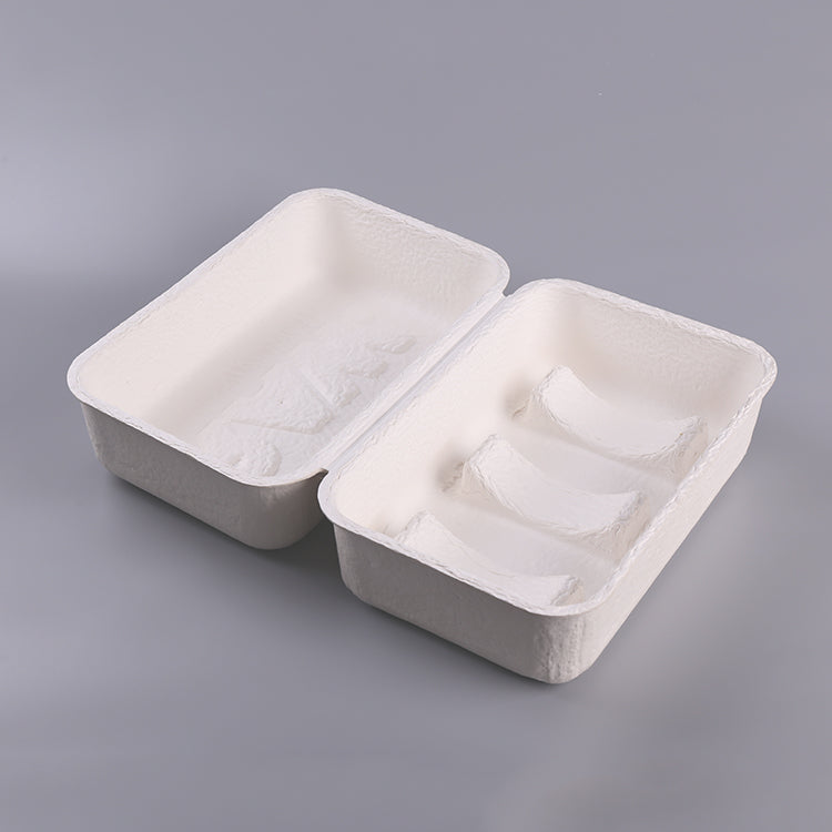 Beauty Camera Equipment Biodegradable Pulp Box - Otarapack