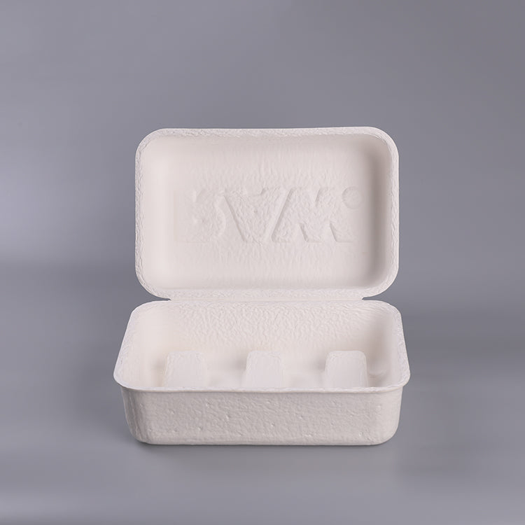 Beauty Camera Equipment Biodegradable Pulp Box - Otarapack